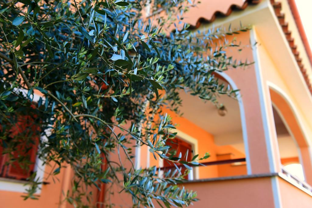 Apartments Zdjelar ポレッチ エクステリア 写真